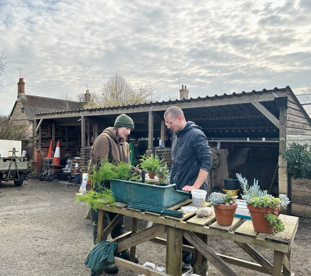 The gardeners assisted with repotting the houseplants and provided guidance on common planting issues.