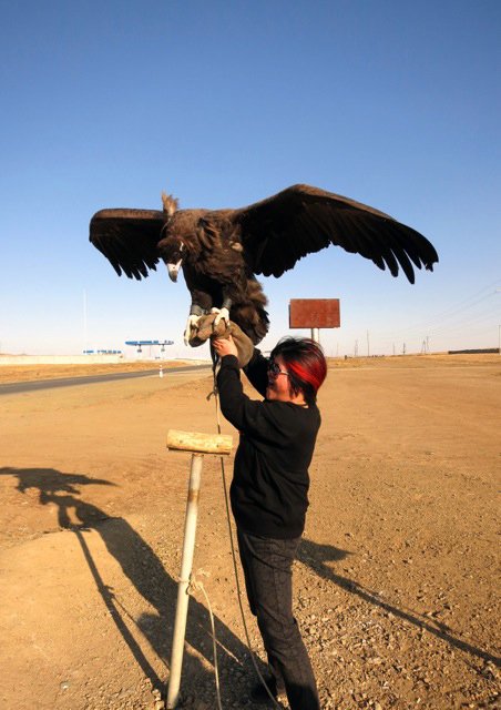 Mindy Chen-Wishart grappling with a vulture