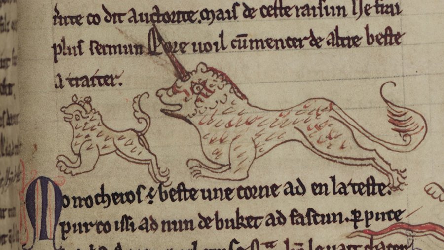 Merton College, MS 249, f. 3r - A unicorn (Monoscheros) and a goat, which we’re told the unicorn looks quite a bit like.