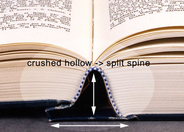 crushed hollow -> split spine