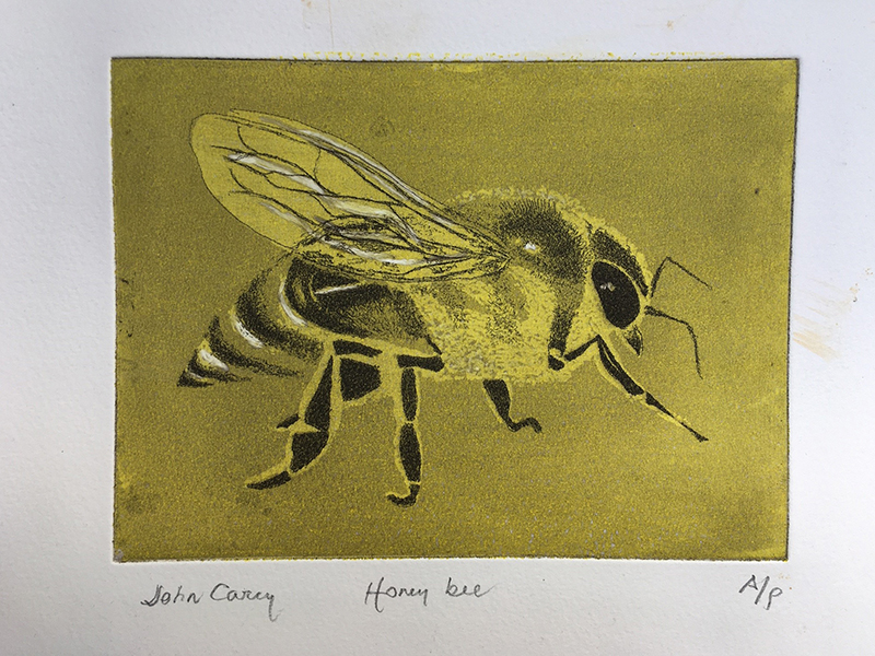 'Honeybee' by John Carey