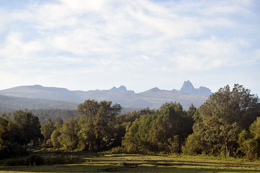 The peaks of Mount Kenya, from the national park entrance