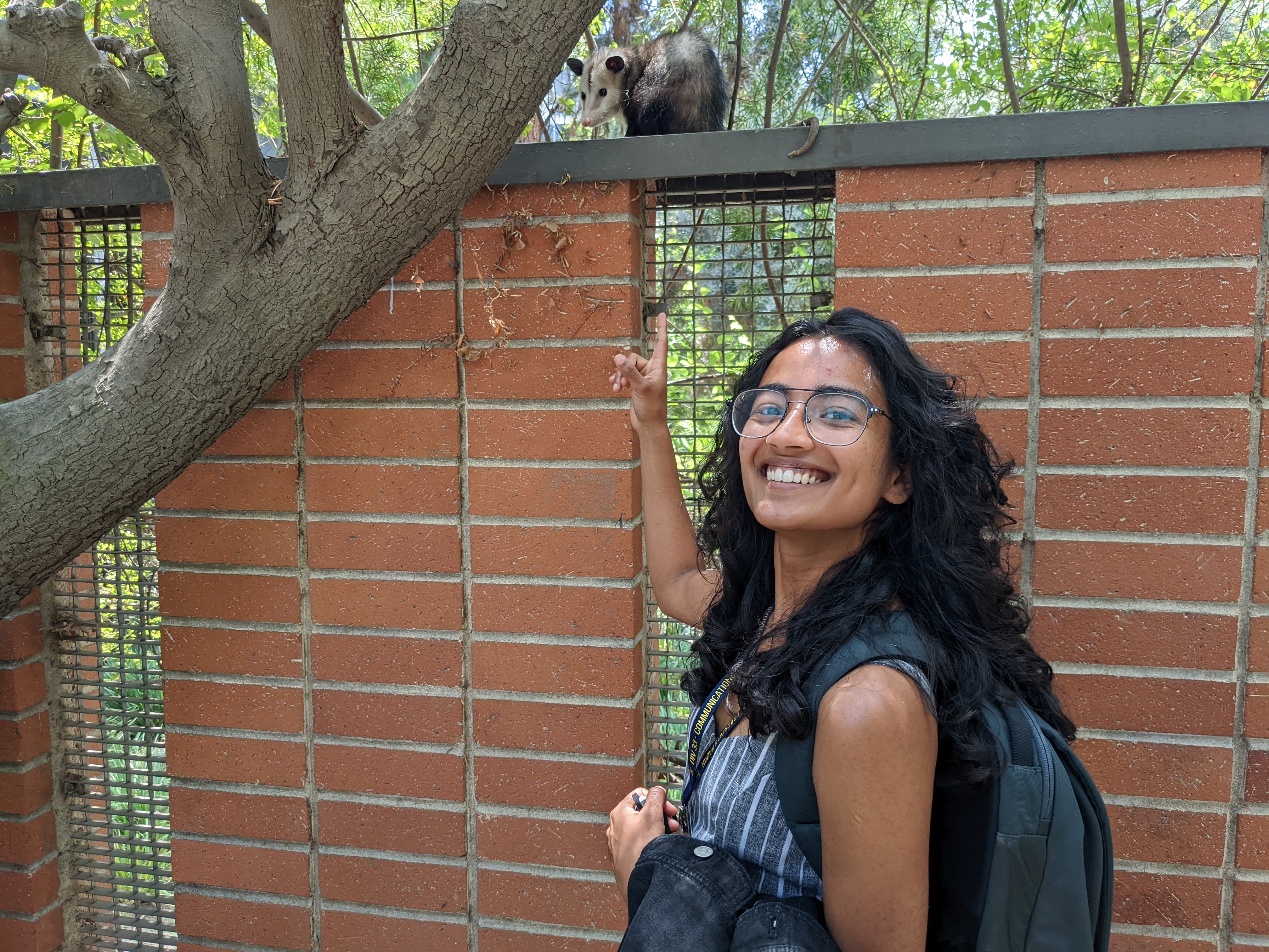 My delight at being surprised by an opossum