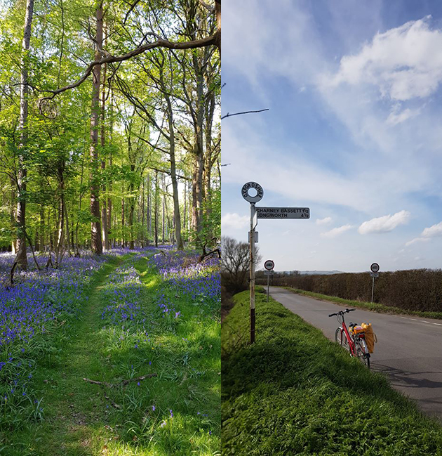 (L-R) bluebells; Sarah Stacey's bicycle