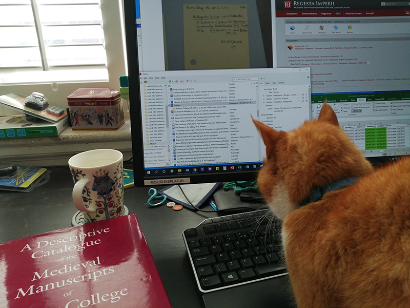 Bibliographic records in progress, with some unexpected help at home