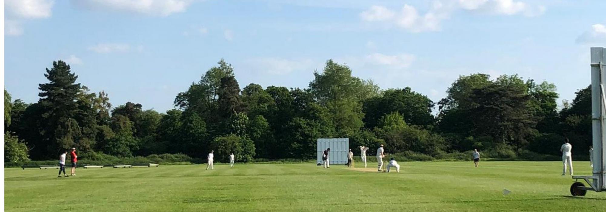 Merton-Mansfield Cricket 2023/24 A sunny day with a cricket pitch with nine players in whites playing cricket, and two spectators
