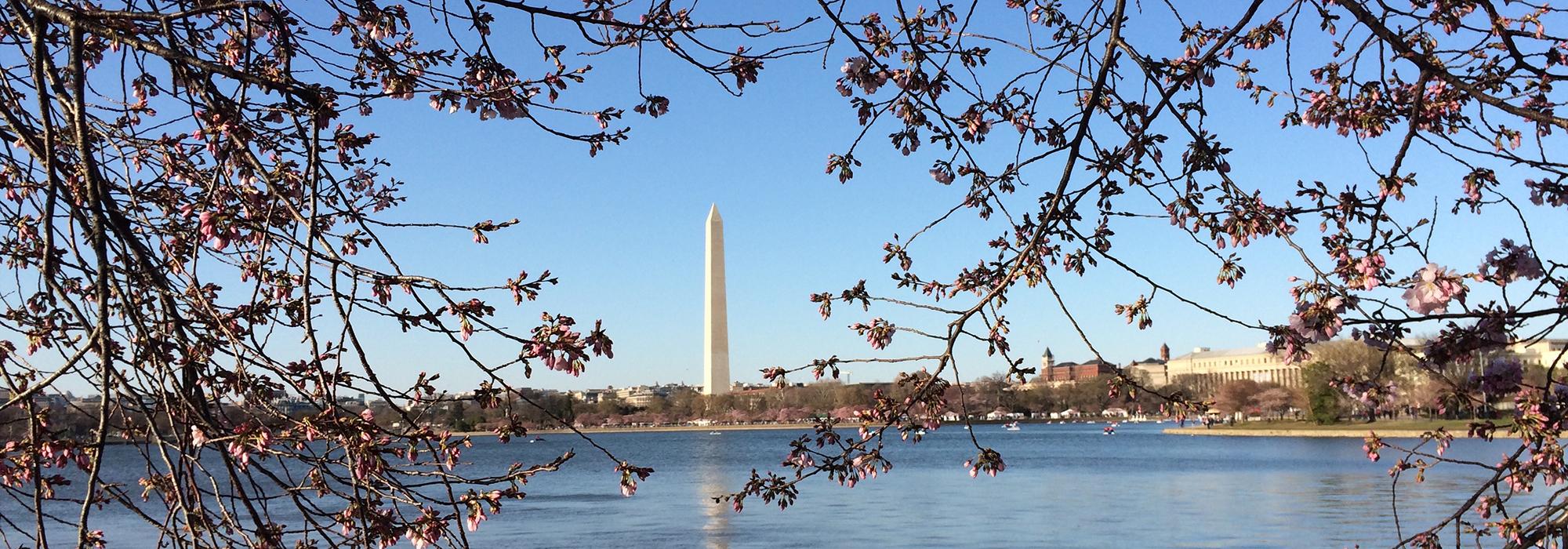 The Washington Monument - Photo: © Andrew Payne The Washington Monument - Photo: © Andrew Payne