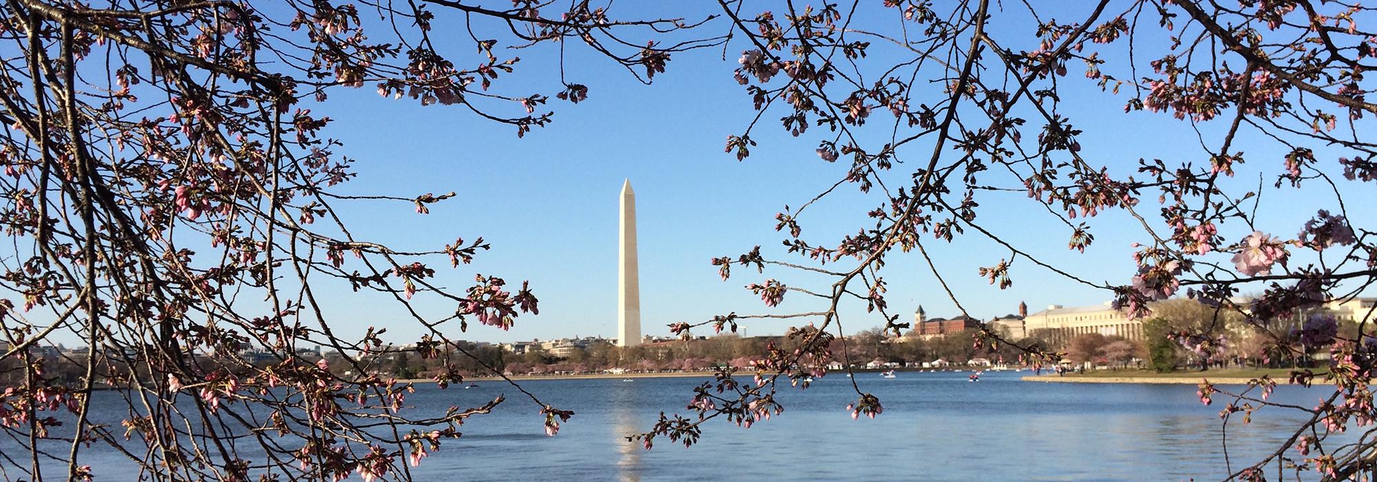 The Washington Monument - Photo: © Andrew Payne