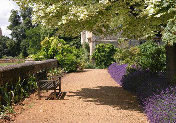 The terrace above Fellows' Garden