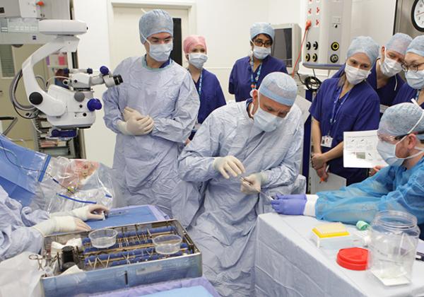 Professor Peter Charbel Issa (standing) checks the virus being drawn up by Professor Robert MacLaren - Photo: © Jon Brett, Eye Research Group Oxford