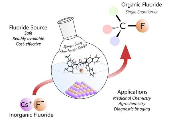 Hydrogen Bonding Phase Transfer Catalysis