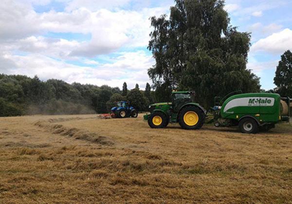 Raking and baling in August 2016