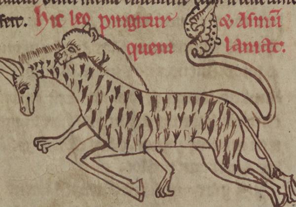 Merton College, MS 249, f. 1v - A lion chasing a (surprisingly not entirely unrealistic) zebra.