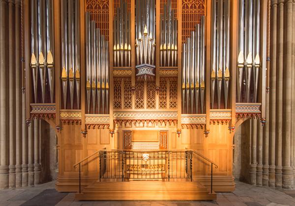 The Dobson Organ