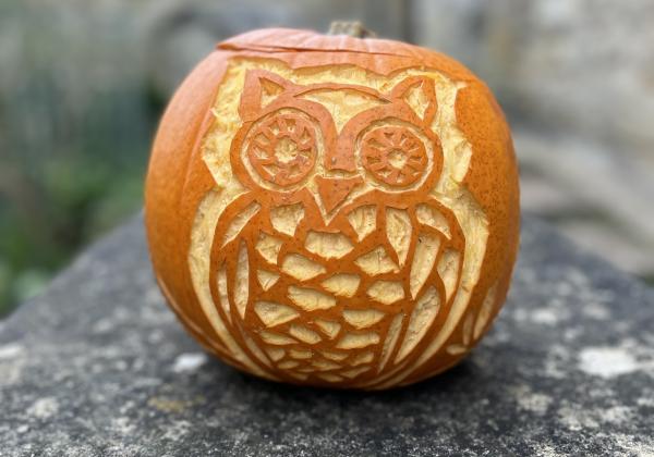 Owl pumpkin