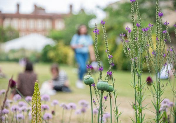 Flowers in a college garden - ©OUImages/John Cairns Photography