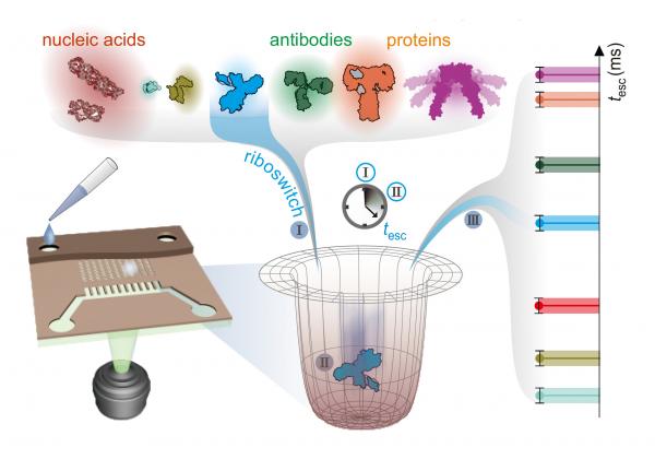 Graphic from study