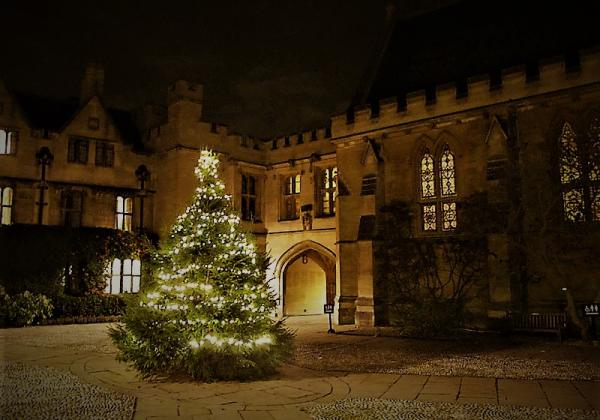 Christmas Tree lit with golden lights in the dim quad