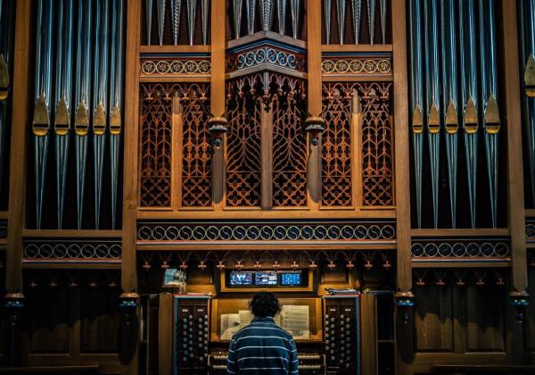 Organ 
