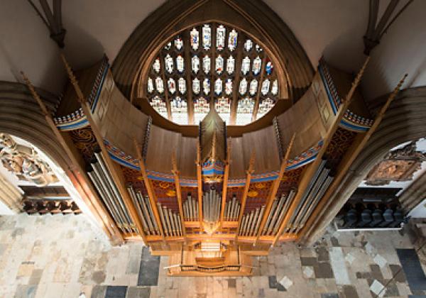 Dobson Organ