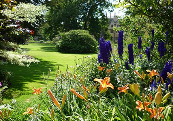 Fellows' Garden in June