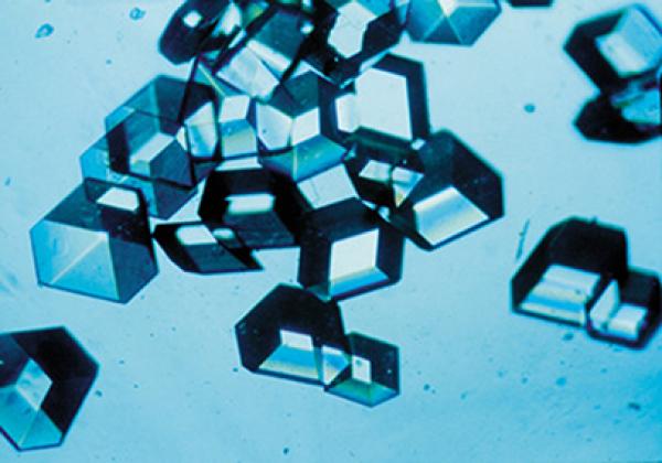 Insulin crystals - Credit: NASA/Marshall Insulin crystals - Credit: NASA/Marshall