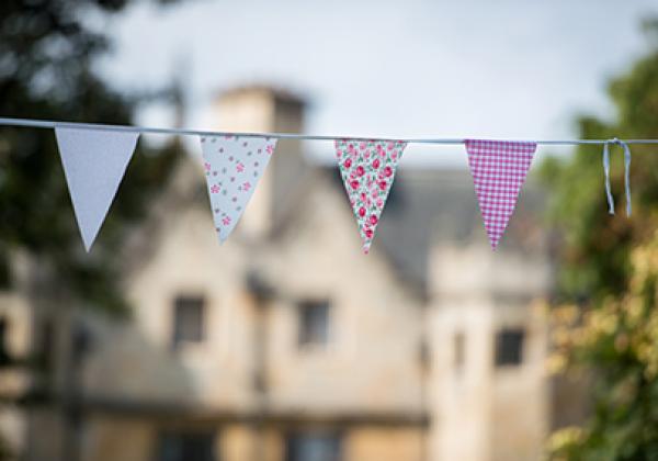 Bunting in the Merton College Gardens - Photo: © John Cairns - www.johncairns.co.uk