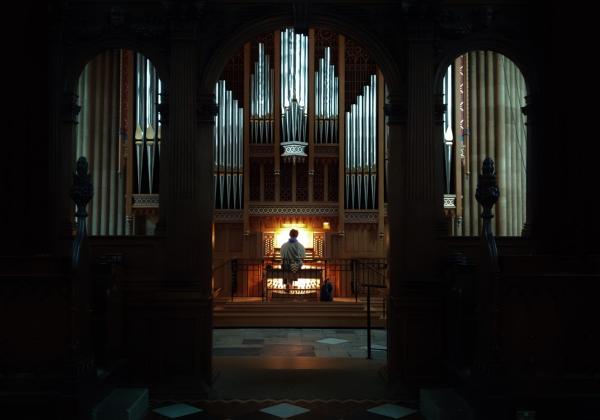 The Dobson Organ - Photo: © Clod Russello The Dobson Organ - Photo: © Clod Russello