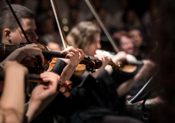 Orchestra Close up shot of violin players in black concert wear poised to play