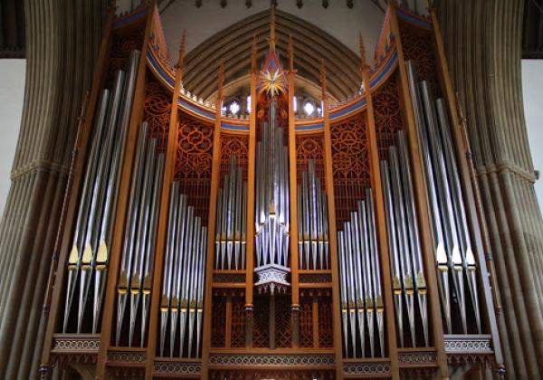 Dobson Organ