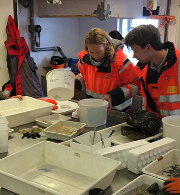 Oliver processes material with Dr Laura Robinson (Reader in Geochemistry, University of Bristol) gathered from an Agassiz trawl. [© Melanie Mackenzie]