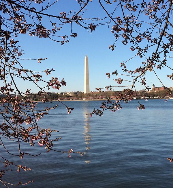 The Washington Monument - Photo: © Andrew Payne