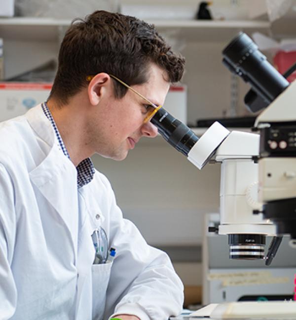 Merton DPhil student Lewis Fry in the lab - Photo © John Cairns - www.johncairns.co.uk