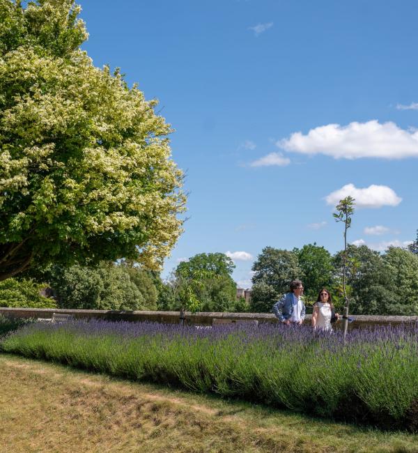 Merton Garden Party 2025 © John Cairns