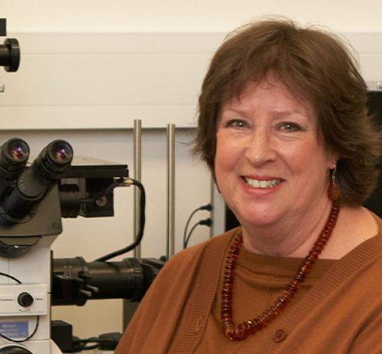 Professor Judith Armitage