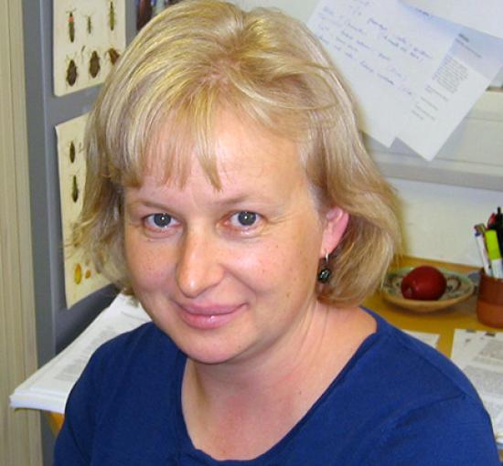 Professor Frances Platt Professor Frances Platt