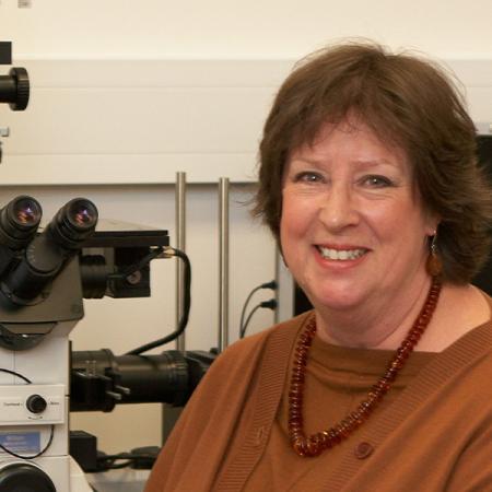 Professor Judith Armitage Professor Judith Armitage