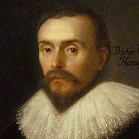 William Harvey William Harvey