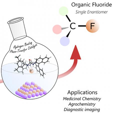 Hydrogen Bonding Phase Transfer Catalysis