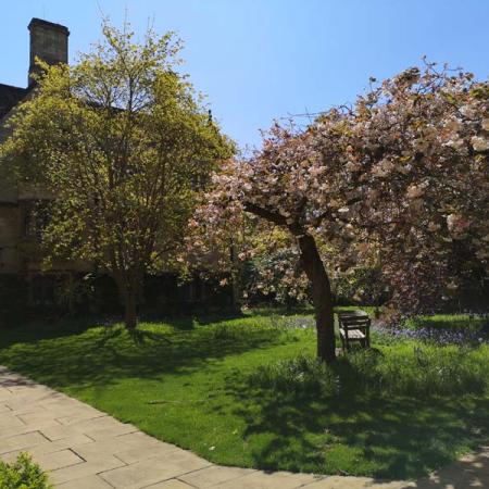 The Merton Chapel garden and Grove