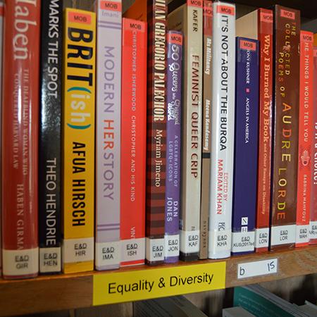 Some of the titles in the Equality & Diversity collection