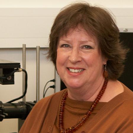 Professor Judith Armitage Professor Judith Armitage