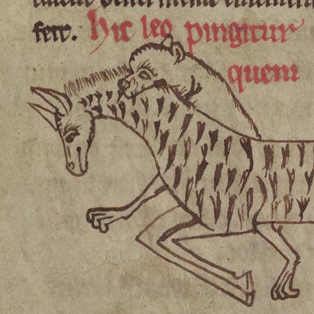 Merton College, MS 249, f. 1v - A lion chasing a (surprisingly not entirely unrealistic) zebra.