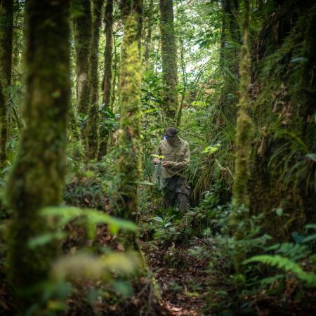 James Kempton in the mountain rainforest collecting specimens