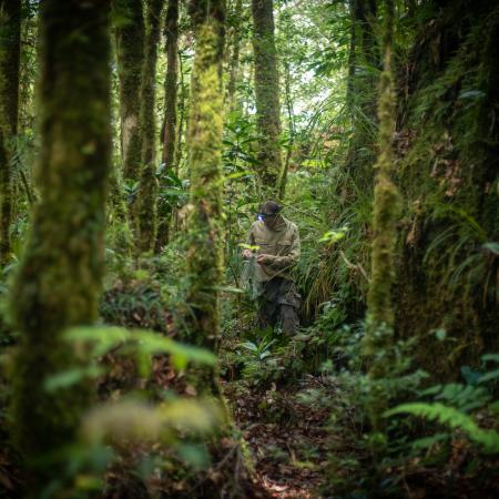 Dr James Kempton collecting specimens after ascending the slopes of the Cyclops Mountains (c) Expedition Cyclops James Kempton in the mountain rainforest collecting specimens