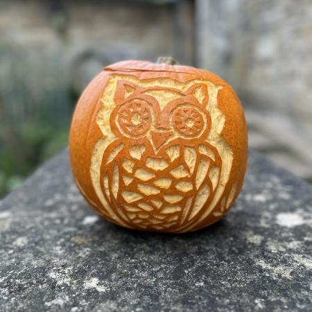 Owl pumpkin