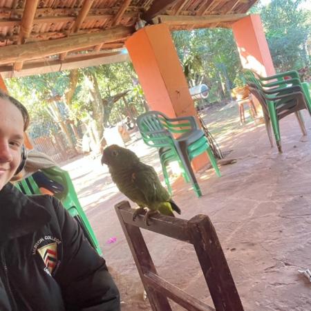 The local parrot - Photo: ©Eloise Partridge The local parrot - Photo: ©Eloise Partridge